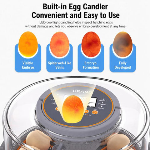Precise Temperature Control Incubator For 12-18 Eggs, EU Plug, EU Plug