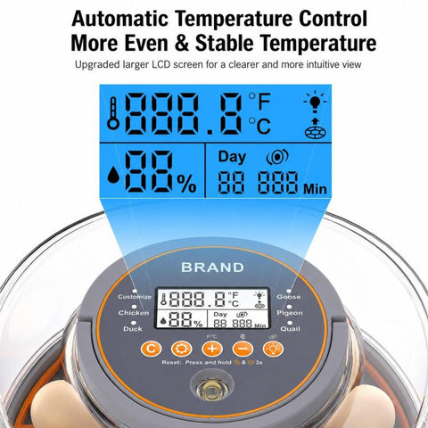 Precise Temperature Control Incubator For 12-18 Eggs, EU Plug, EU Plug