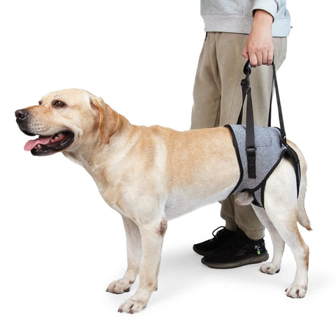 Dog Hind Leg Auxiliary Strap Decompression Auxiliary Travel Belt For Elderly and Injured Dog, S, M, L