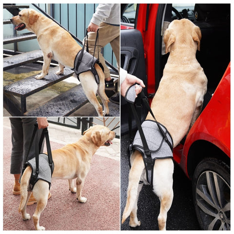 Dog Hind Leg Auxiliary Strap Decompression Auxiliary Travel Belt For Elderly and Injured Dog, S, M, L
