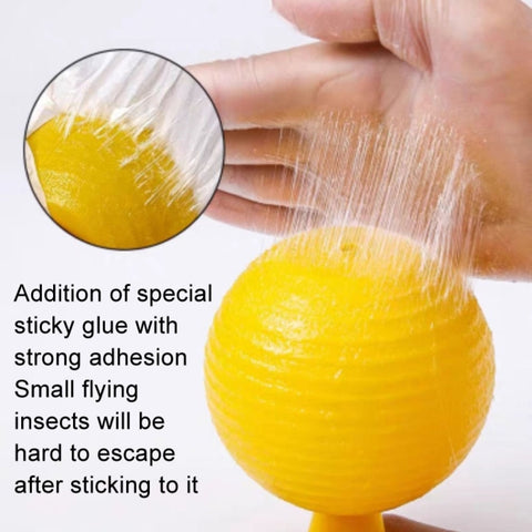 8cm Indoor Fruit Fly Ball With Core Insect Attractant Sticky Ball, With Core