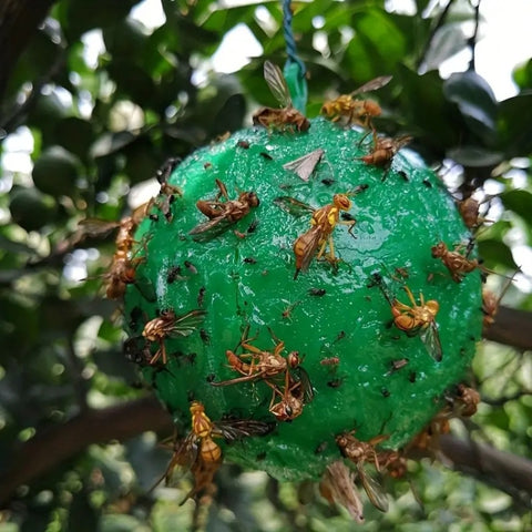 Outdoor Fruit Fly Mosquito Citrus Trap Sticky Ball, Green