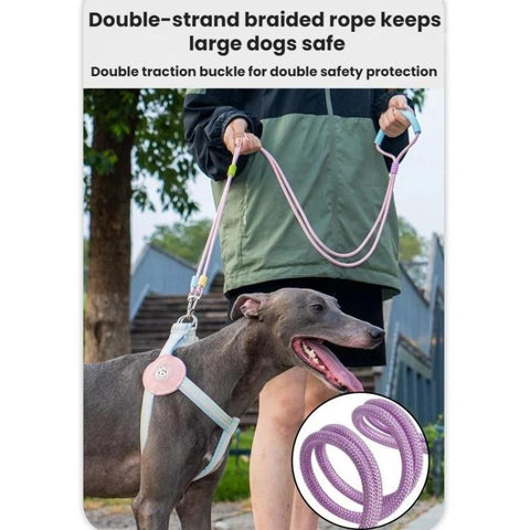 One To Two Anti-escape P-chain Dog Leash