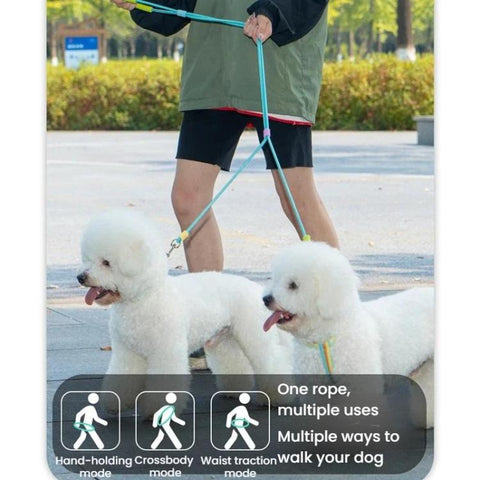 One To Two Anti-escape P-chain Dog Leash