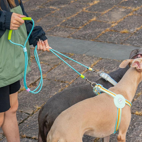 One To Two Anti-escape P-chain Dog Leash