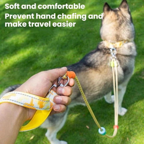 Pet Double-section P-shaped Leash Multi-functional Collar Walking Lead, S, M