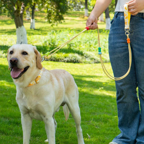 Pet Double-section P-shaped Leash Multi-functional Collar Walking Lead, S, M