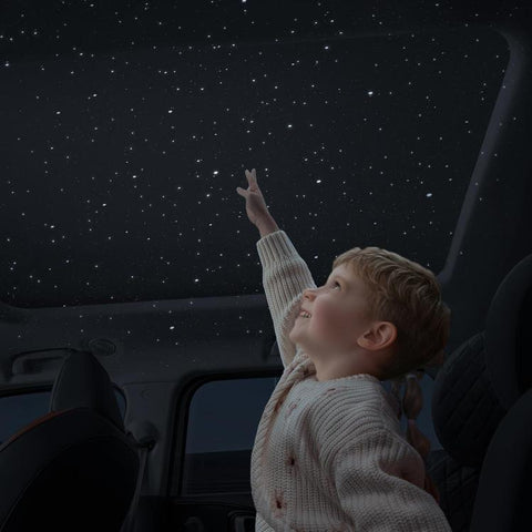Car Decorative Projection Ambient Night Light