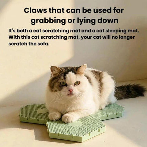 Interlocking Hexagonal Cat Scratcher Non-Slip Portable Washable Claw Grinding Board
