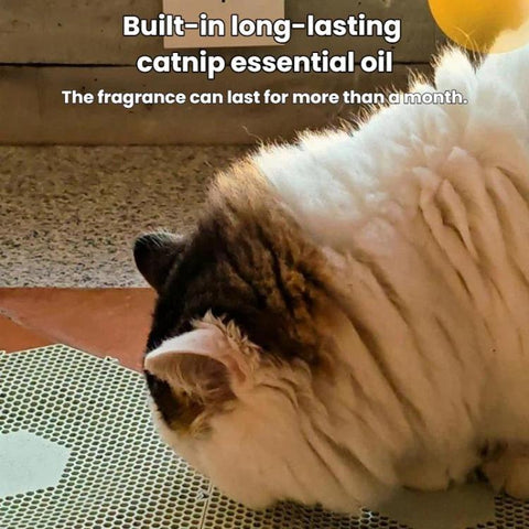 Interlocking Hexagonal Cat Scratcher Non-Slip Portable Washable Claw Grinding Board