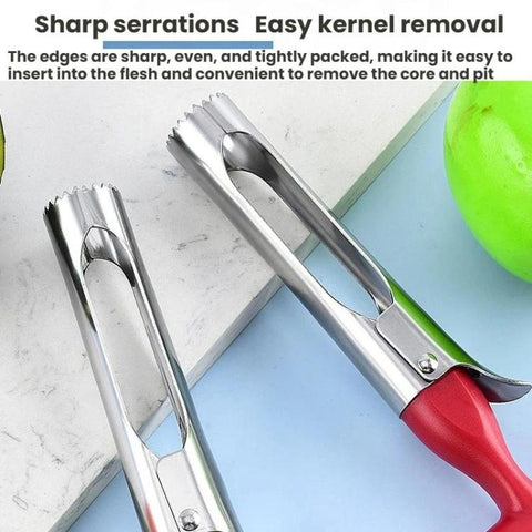 LsCook Stainless Steel Fruit Corer Plastic-Handled Fruit Core Remover