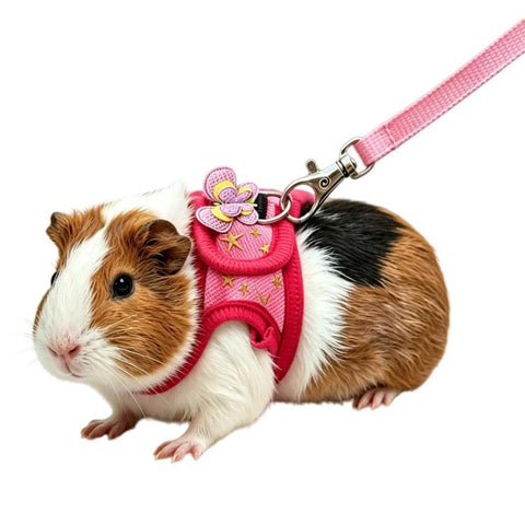 Guinea Pig Chinchilla Harness, Outdoor Walking Leash For Small Pets, Black S, Black M, Purple S, Purple M, Star S, Star M