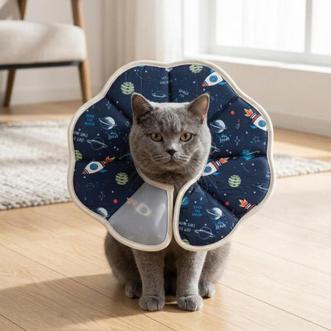 Pet Elizabeth Collar Post-Surgery Anti-Lick Ring, Adjustable Soft Recovery Cone For Cats, XS Planet, S Planet, M Planet, L Planet, XS Rocket, S Rocket, M Rocket, L Rocket