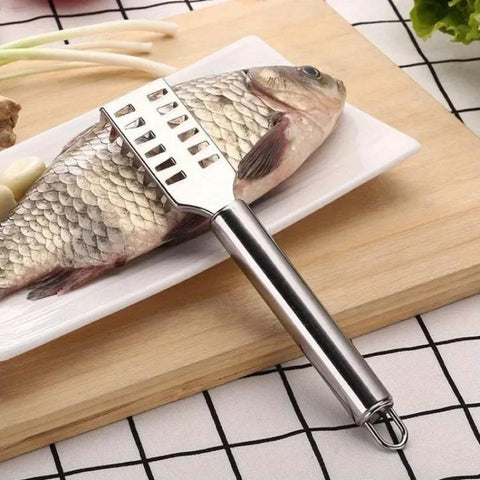 Stainless Steel Fish Scaler, LsCook Square