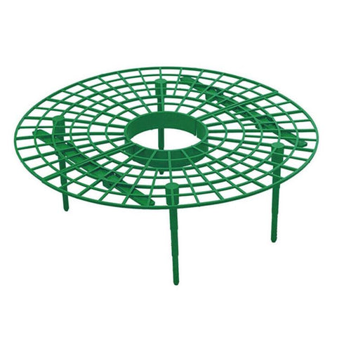 Strawberry Supports Keep Fruit Elevated to Avoid Ground Rot Strawberry Growing Cradles
