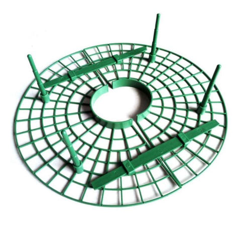 Strawberry Supports Keep Fruit Elevated to Avoid Ground Rot Strawberry Growing Cradles