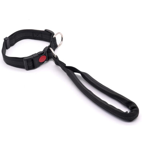 Dog Collar With Integrated Control Handle Heavy Duty Nylon Leash With Safety Lock Buckle For Medium Large Dogs