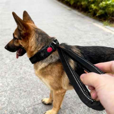 Dog Collar With Integrated Control Handle Heavy Duty Nylon Leash With Safety Lock Buckle For Medium Large Dogs