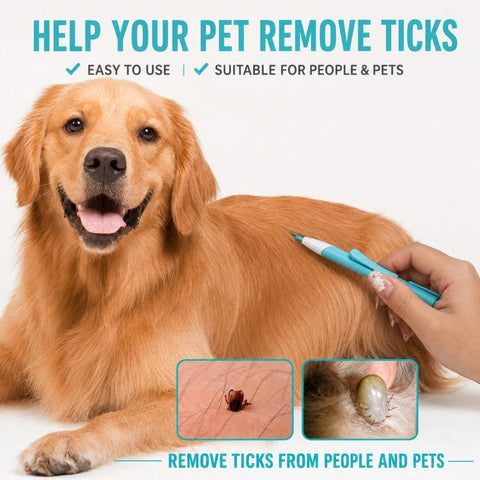 Retractable Tick Remover Lasso Slide Lock Extraction Loop Pen with Standing Base