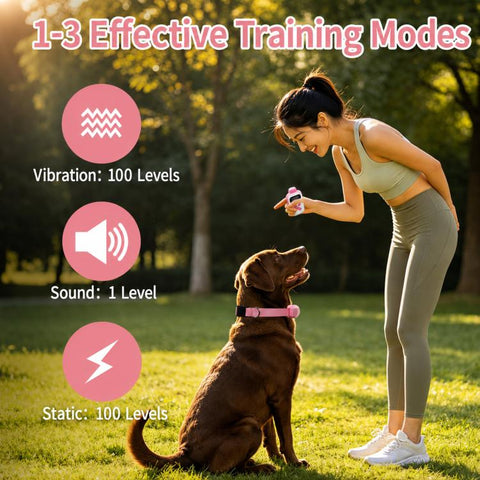 PaiPaitek Dog Training Collar With Remote 1000M Range IPX7 Waterproof Collar, PD 523-1 Pink, PD 523-1 Orange, PD 523-2 Pink, PD 523-3 Pink