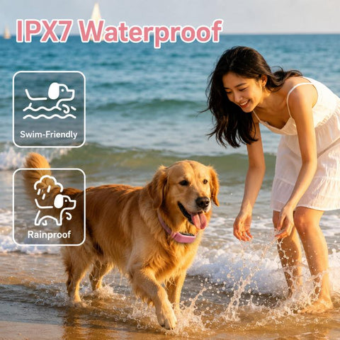 PaiPaitek Dog Training Collar With Remote 1000M Range IPX7 Waterproof Collar, PD 523-1 Pink, PD 523-1 Orange, PD 523-2 Pink, PD 523-3 Pink