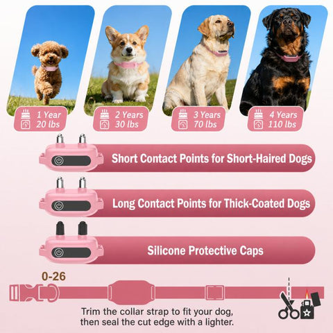 PaiPaitek Dog Training Collar With Remote 1000M Range IPX7 Waterproof Collar, PD 523-1 Pink, PD 523-1 Orange, PD 523-2 Pink, PD 523-3 Pink