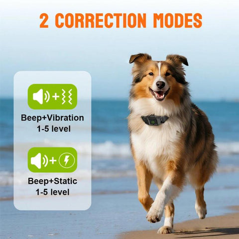 Smart Wireless GPS Multifunctional Waterproof Electronic Pet Fence