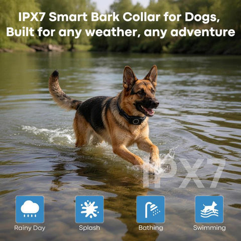 Smart APP Electric Shock Anti-barking Device Smart Collar For Pet Training