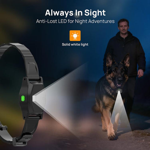 Outdoor Waterproof Smart Wireless Electronic Fence Training Collar for Dogs