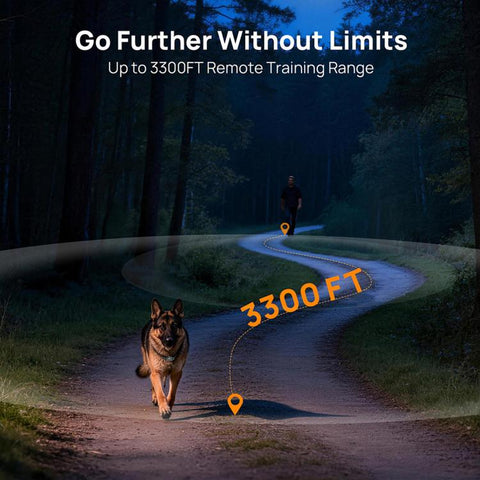 Outdoor Waterproof Smart Wireless Electronic Fence Training Collar for Dogs