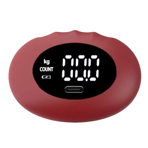 EH216 Smart Electronic Palm Grip Dynamometer Rechargeable Hand Dynamometer With Bluetooth