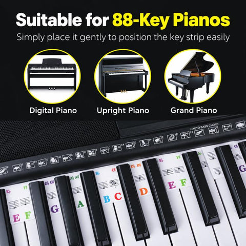 Piano Key Notes Guide 88Keys Removable Piano Notes Label, 88 Keys/Box