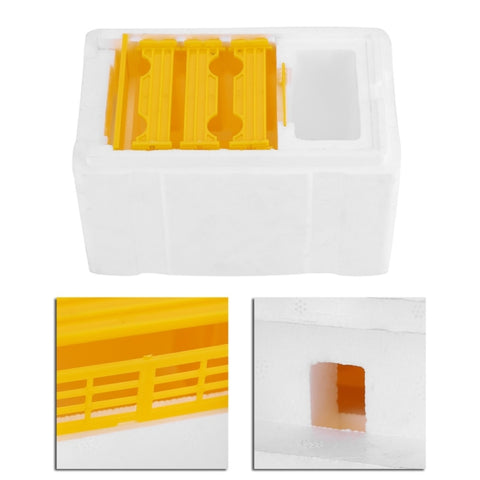 Bee Heading Box Foam Breeding Box Pollination Box, Bee Pollination Box