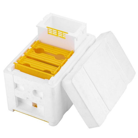 Bee Heading Box Foam Breeding Box Pollination Box, Bee Pollination Box