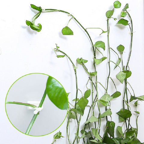 10 PCS Lulu Climbing Wall Fixer Vine Climbing Wall Sticking Hook, 10pcs Small (White), 10pcs Medium (White), 10pcs Large (White)