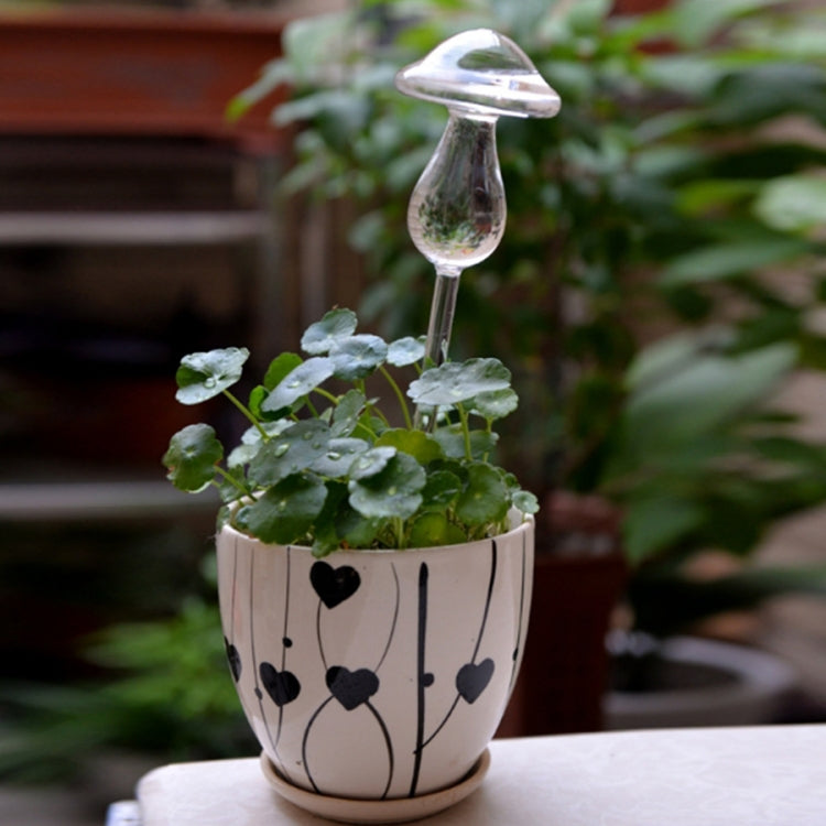 Mushroom Shape House Plants Flowers Water Feeder Automatic Self Watering Clear Glass Devices
